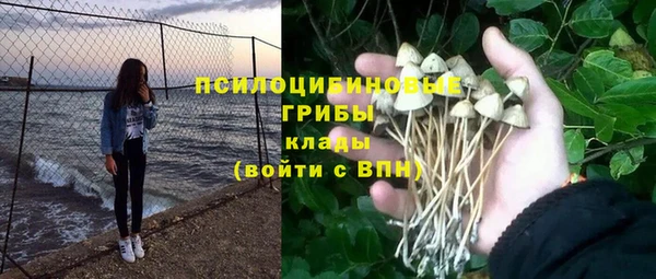mix Белокуриха