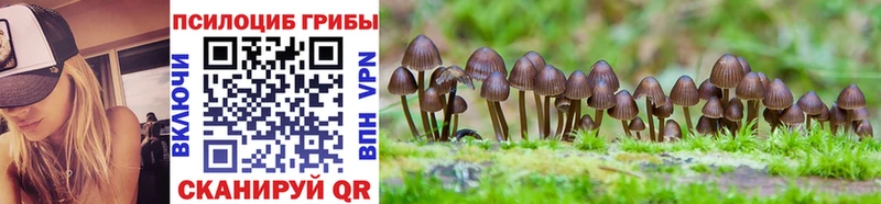 гидра ссылка  хочу наркоту  Славгород  Псилоцибиновые грибы MAGIC MUSHROOMS 